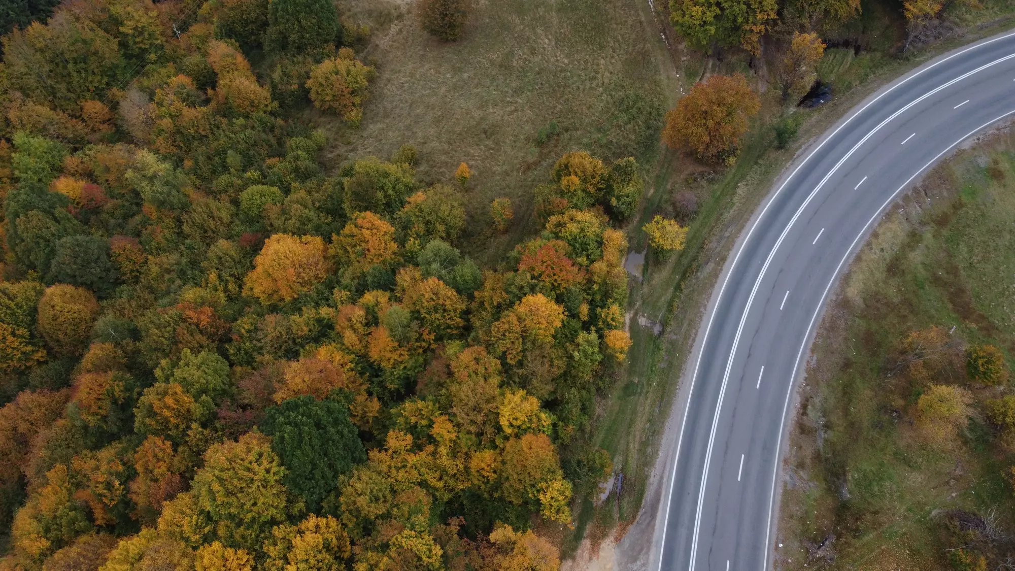 DJI_0788.JPG