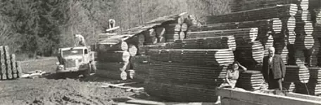 Holzindustrie_Schweighofer-Chroik-1956.jpg
